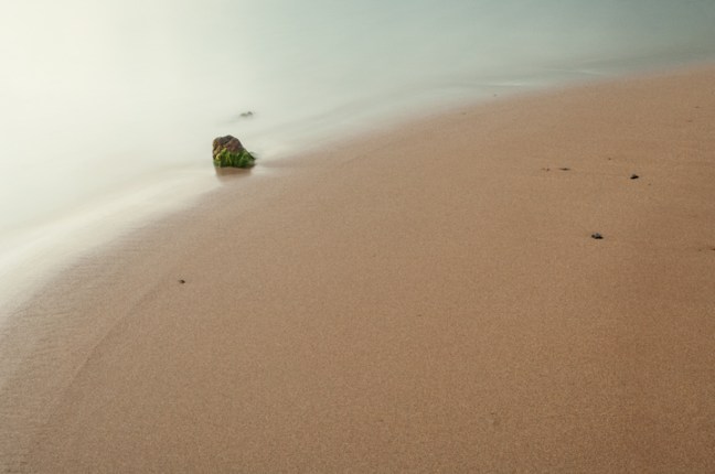 Michael Fuchs 072416 (1)