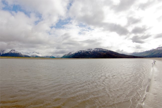 Michael Fuchs 072416 (3)