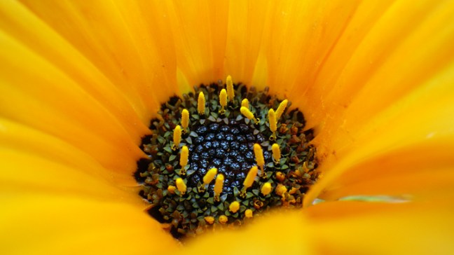 Michael Fuchs 081416 (2)