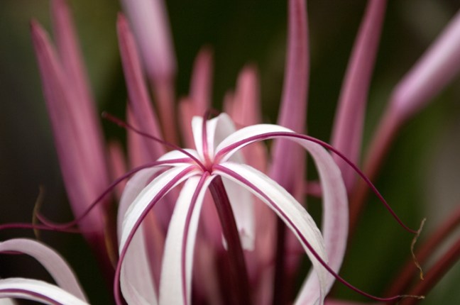 Michael Fuchs 081416 (6)