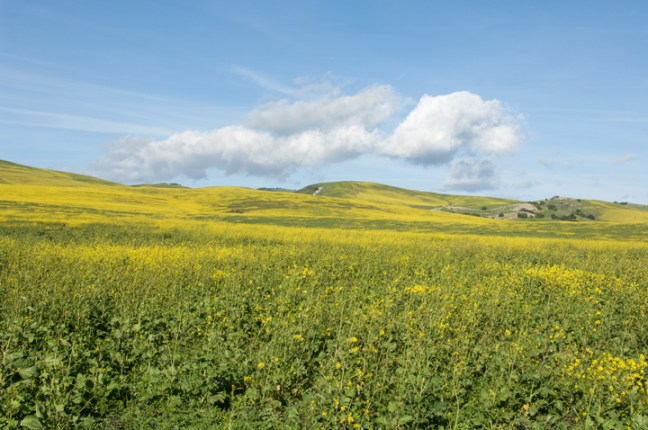 Michael Fuchs 091116 (6)