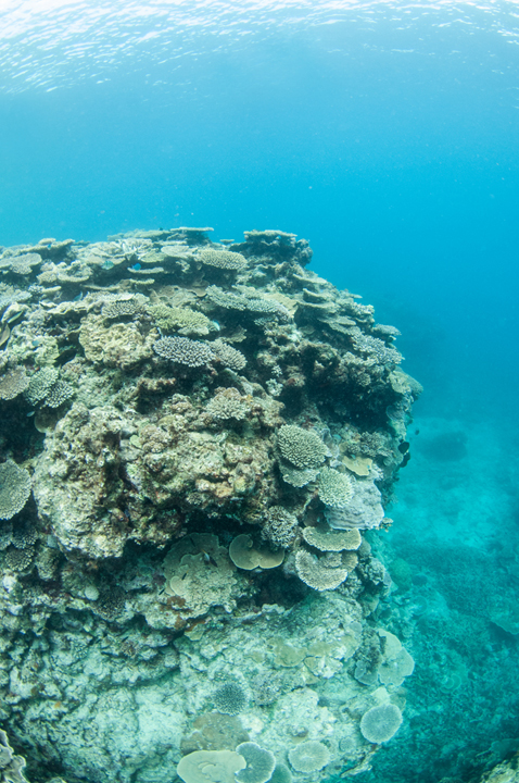 Michael Fuchs 091816 (1)