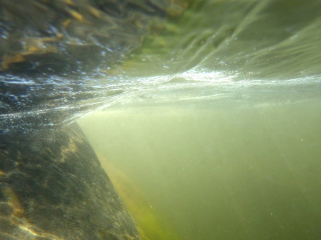 Michael Fuchs 091816 (3)