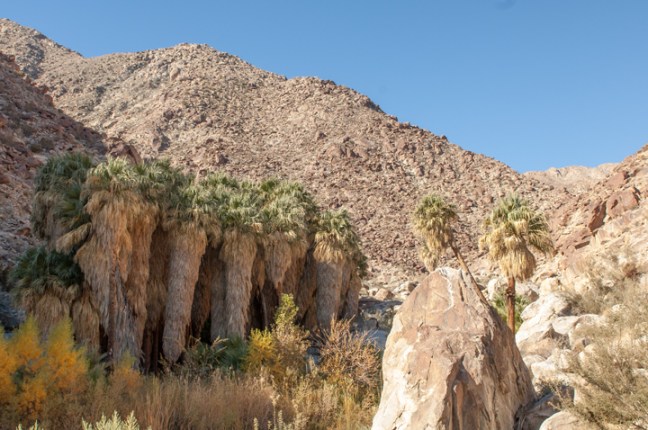 Michael Fuchs 100216 (3)