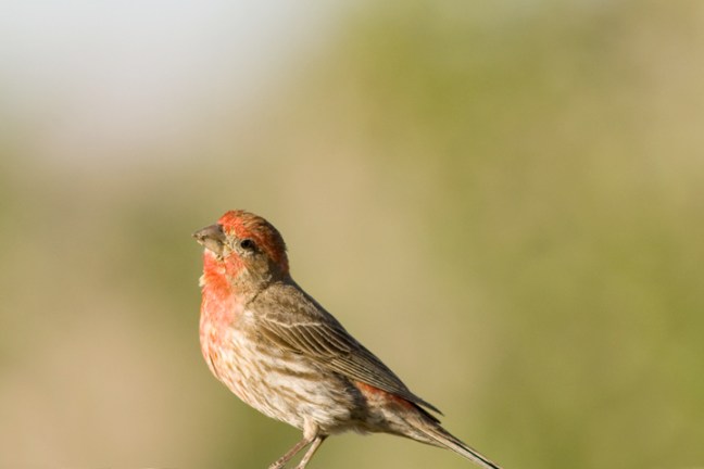 Michael Fuchs 102316 (3)