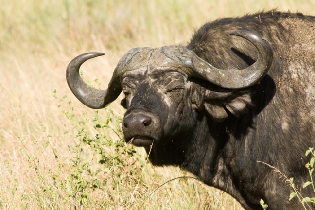 Michael Fuchs 102316 (4)