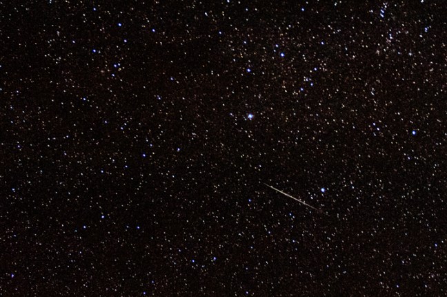 Michael Fuchs 103016 (2)