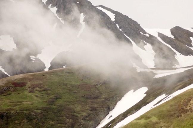 Michael Fuchs 110616 (4)