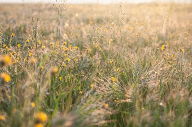 Michael Fuchs 112716 (1)