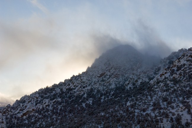 Michael Fuchs 120416 (1)