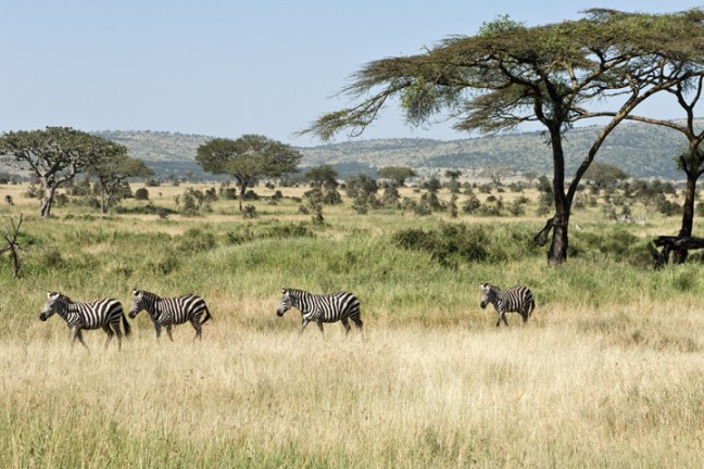 Michael Fuchs 120416 (2)