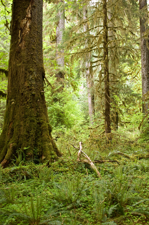 Michael Fuchs 120416 (4)