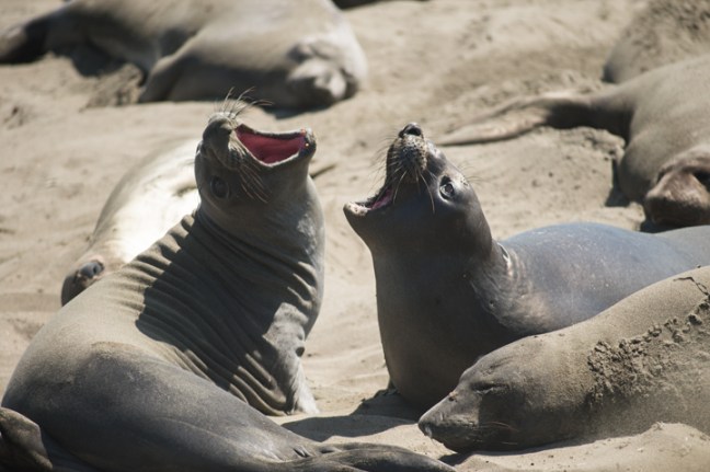 Michael Fuchs 121116 (1)