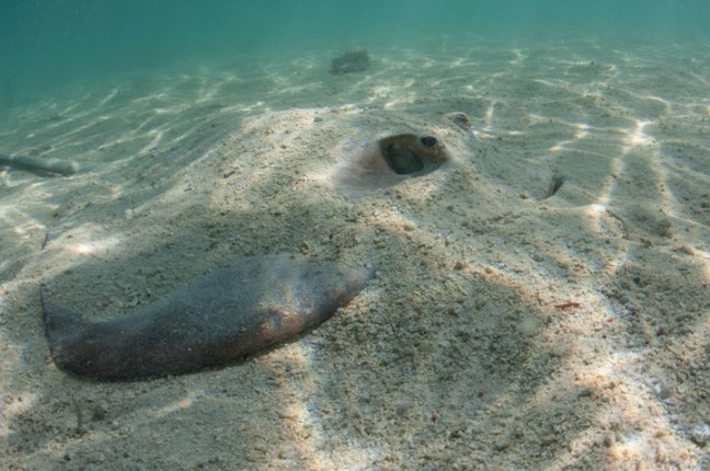 Michael Fuchs 121116 (3)