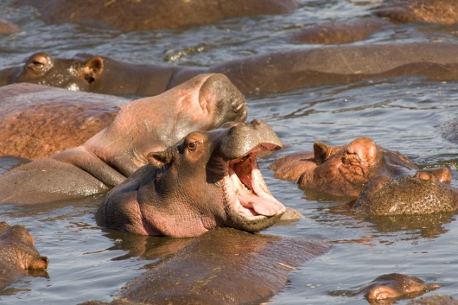 Michael Fuchs 121116 (5)