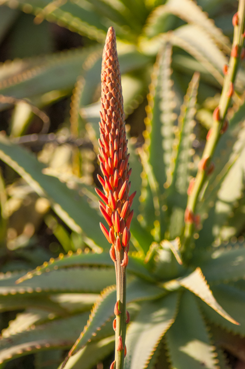 Michael Fuchs 121816 (2)