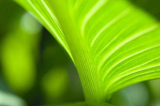 Michael Fuchs 121816 (3)