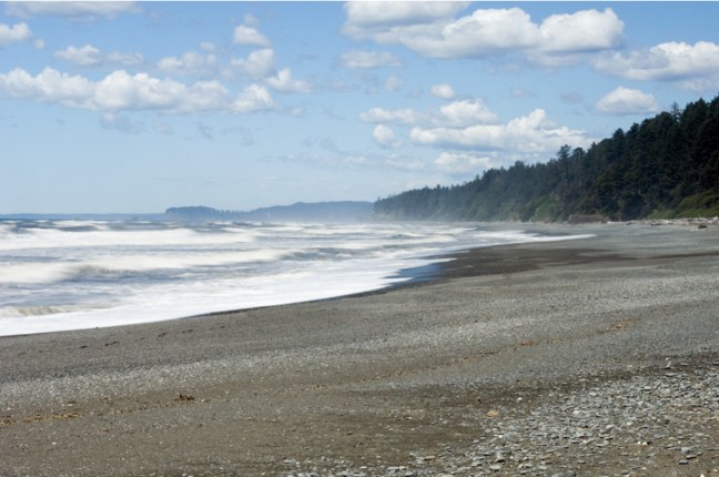 Michael Fuchs 122516 (3)