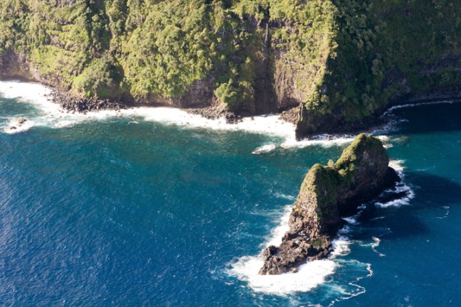 Michael Fuchs 122516 (5)