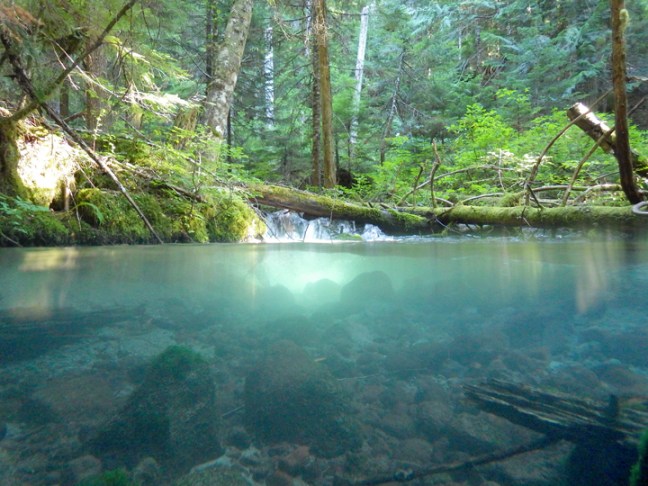 Michael Fuchs 090416 (1)