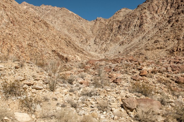 Michael Fuchs 090416 (7)