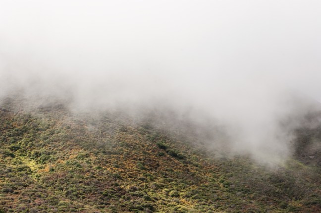 michael-fuchs-012217-2