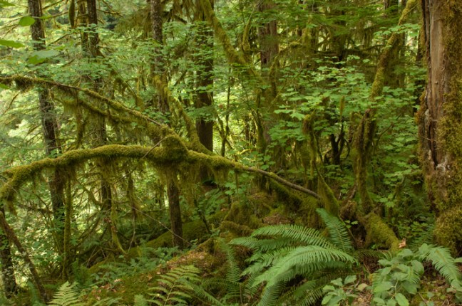 michael-fuchs-012917-4