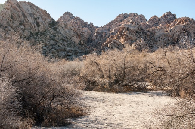 michael-fuchs-012917-5