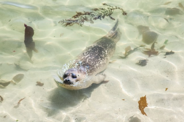 michael-fuchs-021217-4