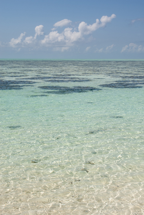 michael-fuchs-022617-3