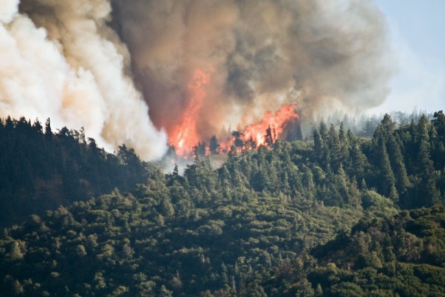 michael-fuchs-022617-5