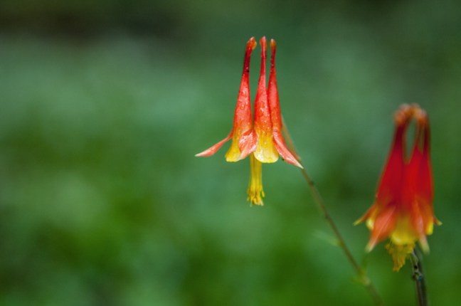 michael-fuchs-030517-2