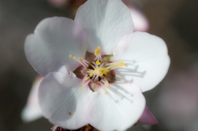 michael-fuchs-030517-3