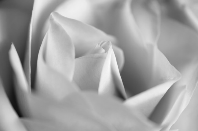 michael-fuchs-030517-5