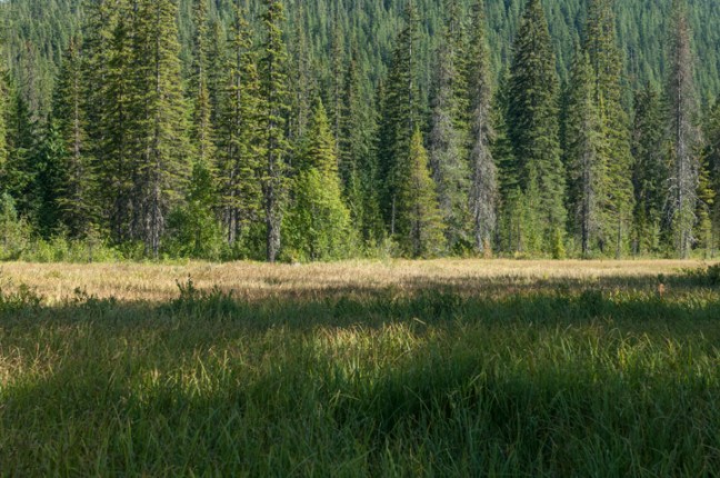 michael-fuchs-031917-1