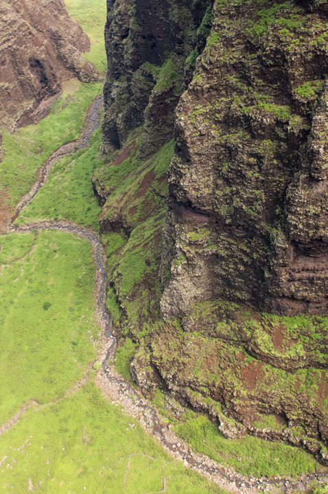 michael-fuchs-031917-5