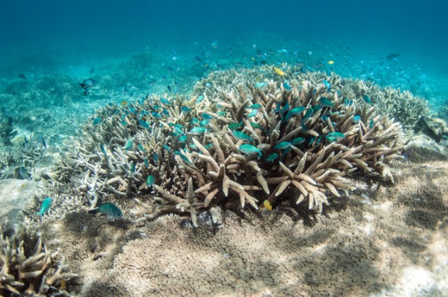 michael-fuchs-040217-1