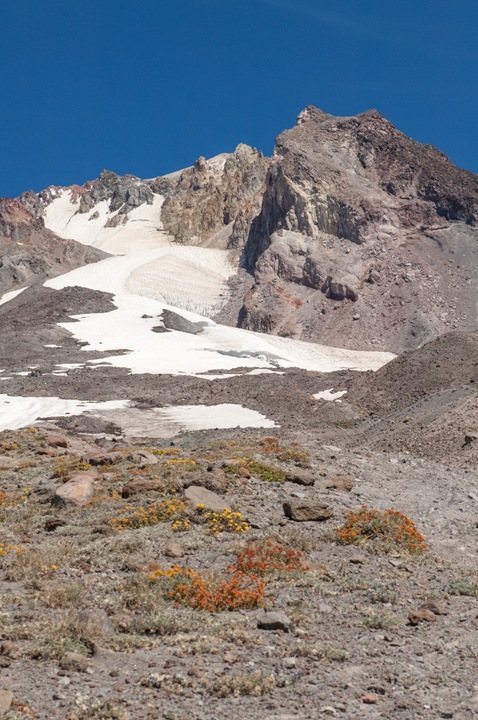 michael-fuchs-042317-2