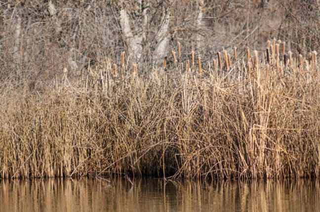 michael-fuchs-042317-3