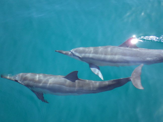 michael-fuchs-043017