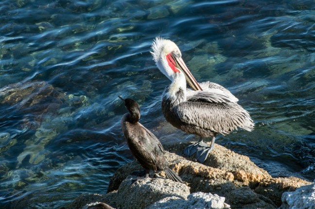 michael-fuchs-050717-2