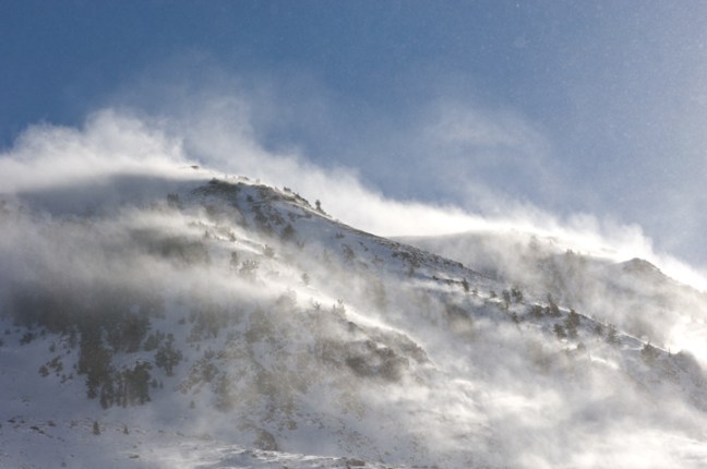 michael-fuchs-052117-2