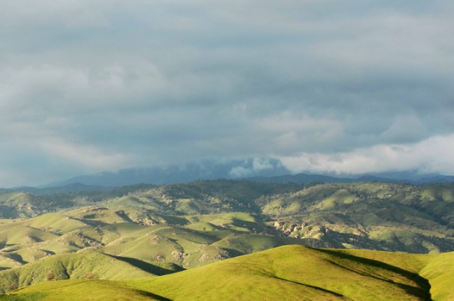 michael-fuchs-052117-5