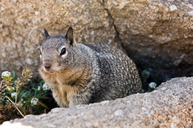 michael-fuchs-060417-4