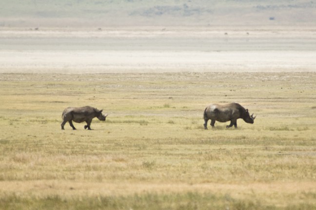 michael-fuchs-061117