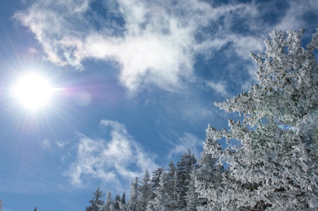 michael-fuchs-061817-1