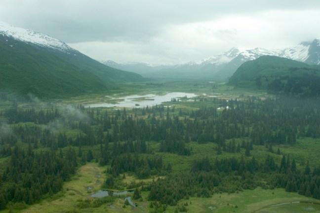 michael-fuchs-061817-2