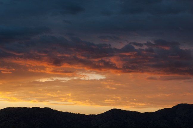 michael-fuchs-061817-5