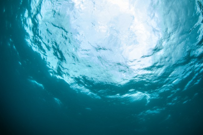 michael-fuchs-062517-3