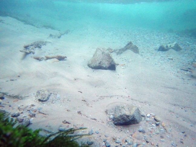 michael-fuchs-062517-5